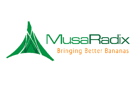 MusaRadix Logo