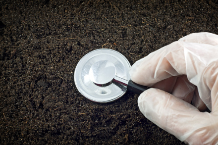 Stethoscope on soil